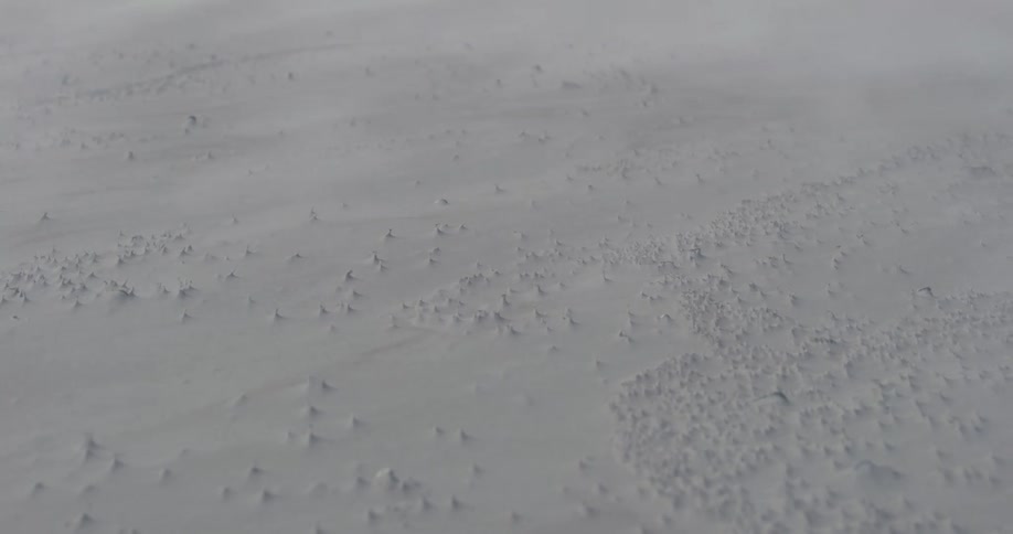 A snow covered forest with trees with the sky and clouds