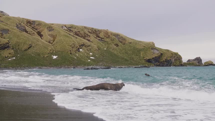 Ocean waves roll in on a sandy beach