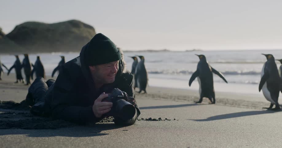 A man lies on the beach with his camera and watches penguins walk by