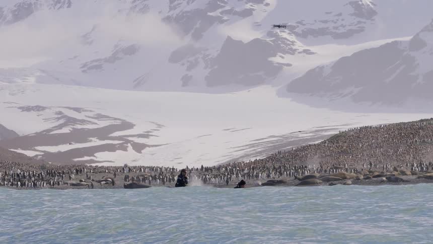 Two men in a boat control a drone that flies over penguins on the shore