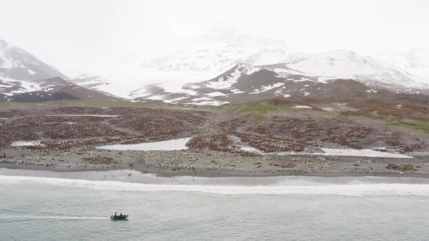 Two men drive a boat near a coastline