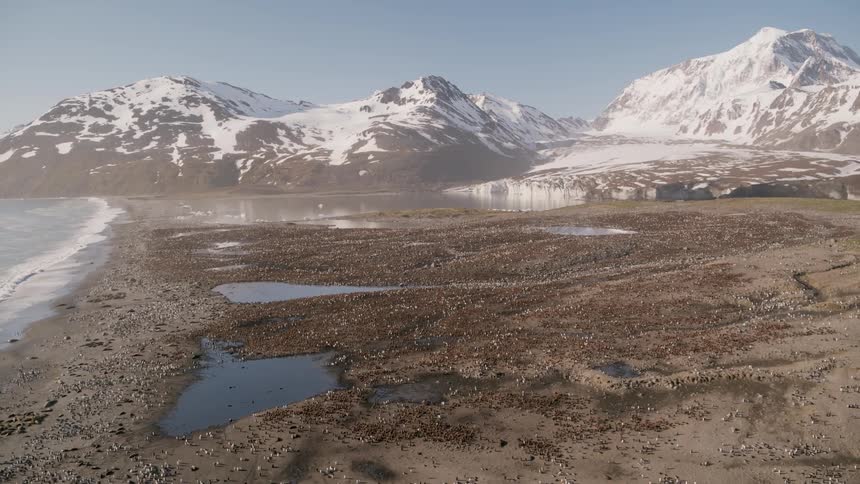 Aerial view of snow covered mountains and the coast