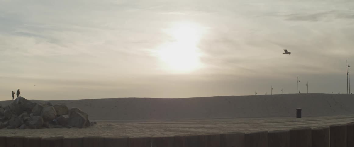 A man and woman stand on top of a sand dune as a large bird flies overhead