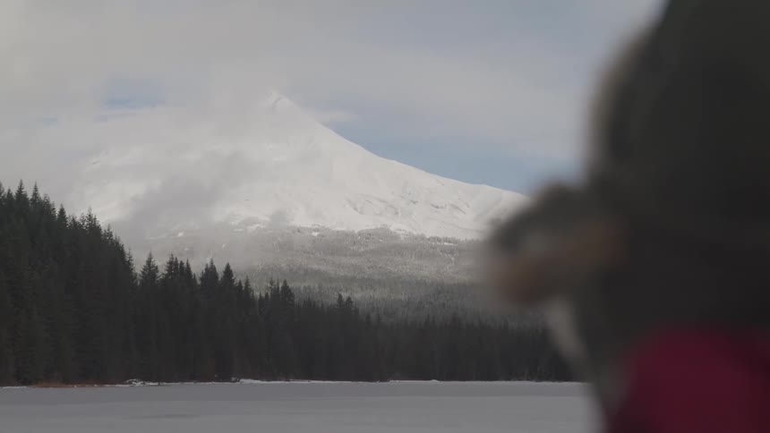 A snow covered mountain lies beyond an evergreen forest
