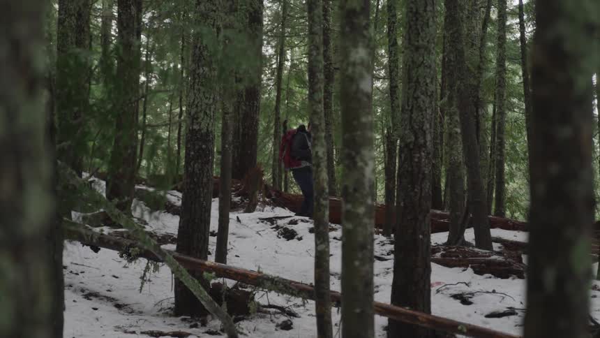 A man hiking through a snowy forest
