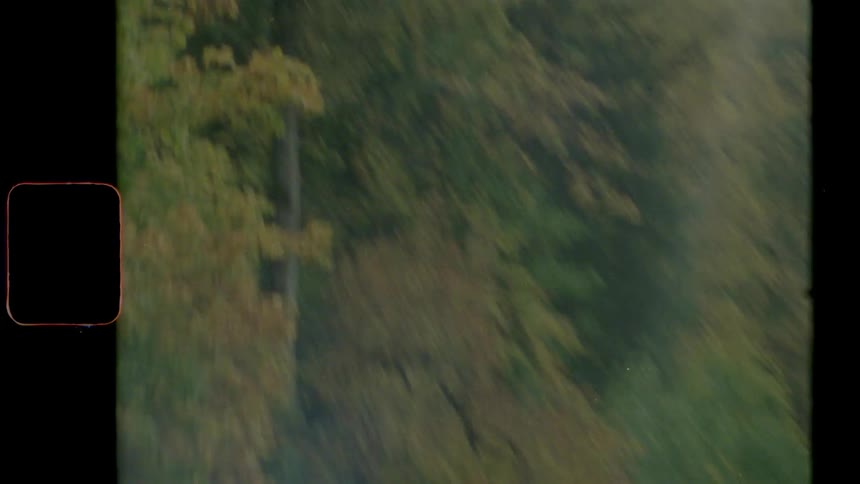 Vehicle drives on a highway through an autumn forest