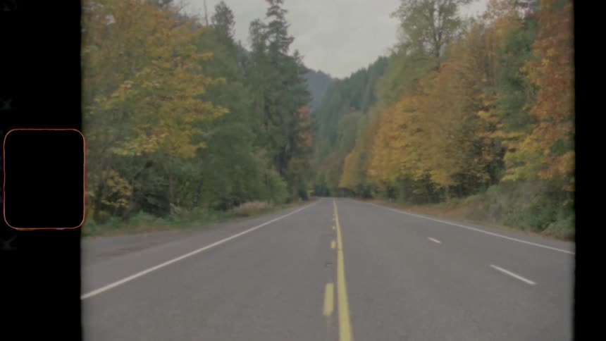 Vintage footage of a road with fall trees in a forest on both sides