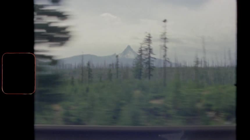Trees stand in the field with mountains in the distance