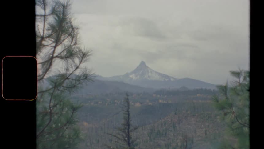 A mountain and pine trees in a forest