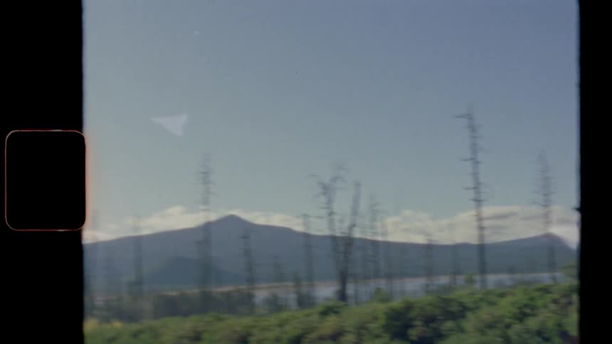 Green bushes and shrubs on the banks of a lake near the mountains at day
