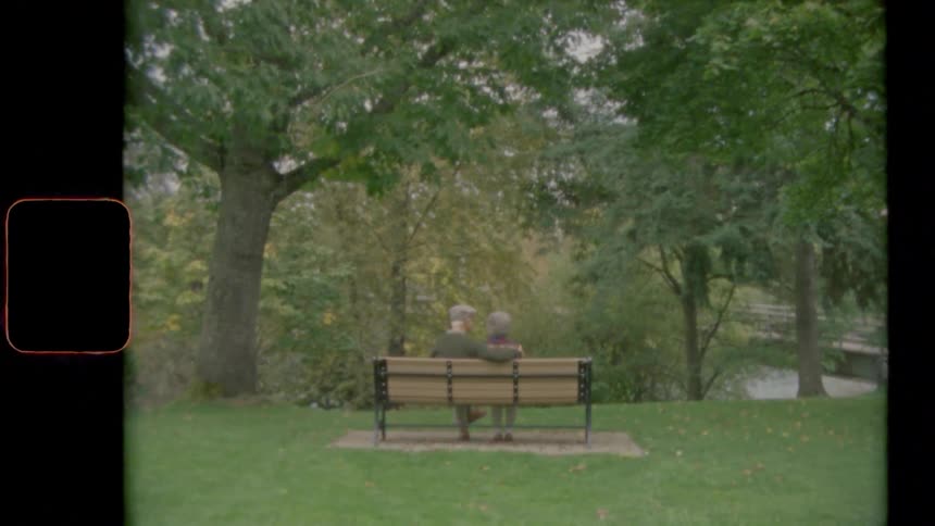 Couple sitting in a bench on the green grass of a park near the trees