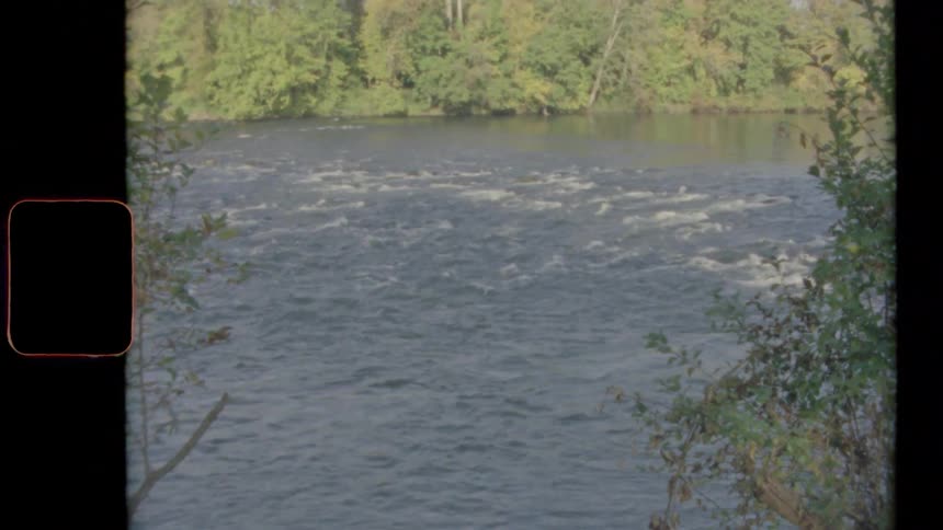 A wide river flows through a forest on a sunny day