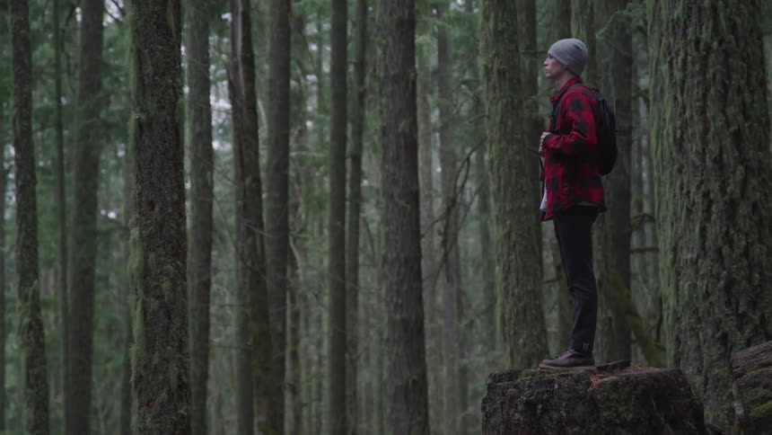 A man stands on a tree stump in a dense pine forest