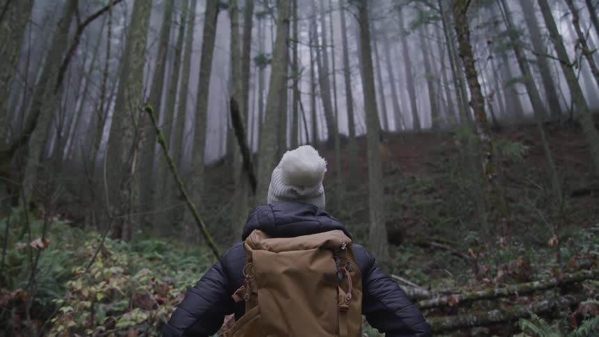 Person hikes through fallen foliage in forest of tall skinny trees