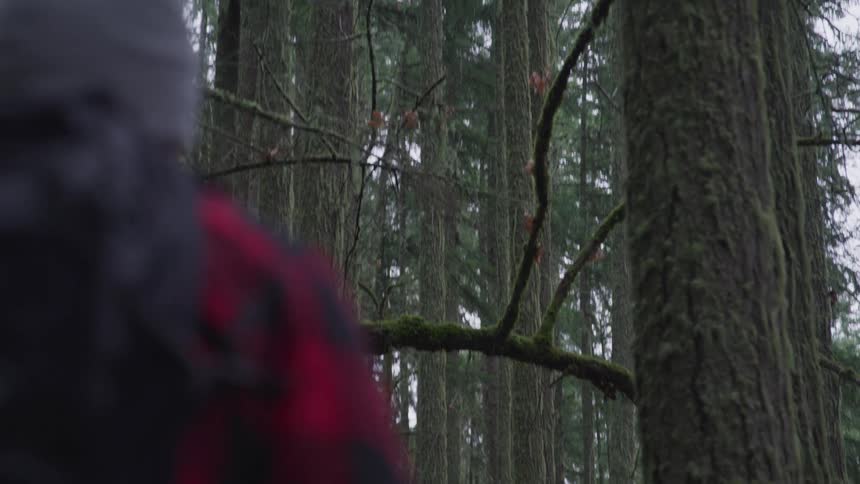 Man with a grey beanie a red plaid shirt and a black backpack walks in the forest