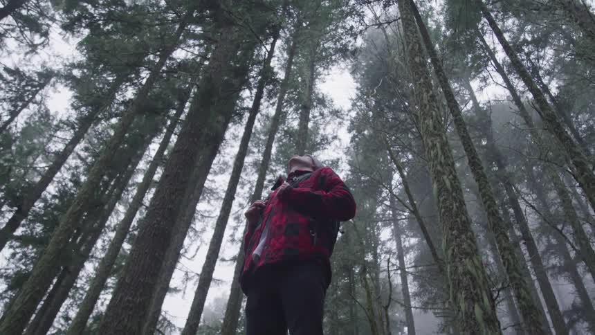 Man with a grey beanie and a red plaid shirt looks up at tall trees in the forest