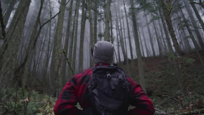 A hiker standing in a forest looks up at a hill covered in trees and fog
