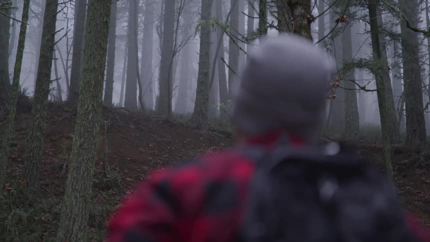 A hikers pauses while looking at an eerie forest that is cloaked in fog