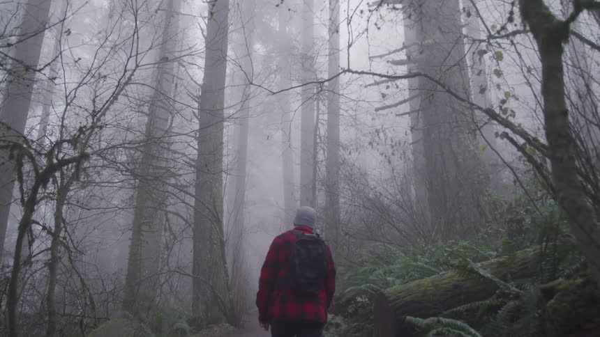 A man is hiking through the forest
