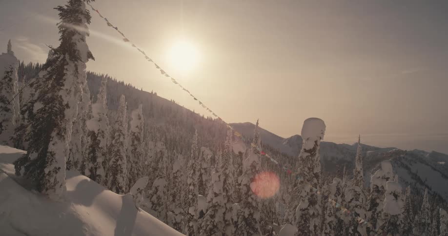 Prayer flags hanging between trees in a snowy landscape