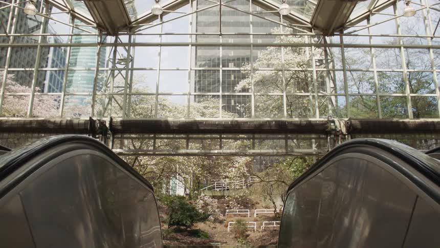An escalator with trees and skyscrapers in the background