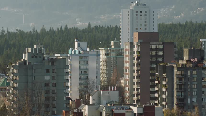 Tall buildings in a city bordering a forest