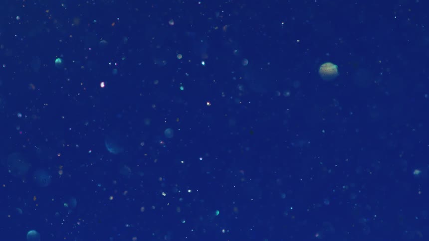 Shiny particles reflect the light floating suspended in a blue liquid