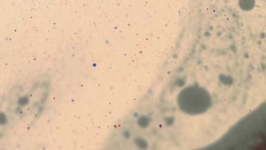 Several colored spots flash as they flow in a clear liquid