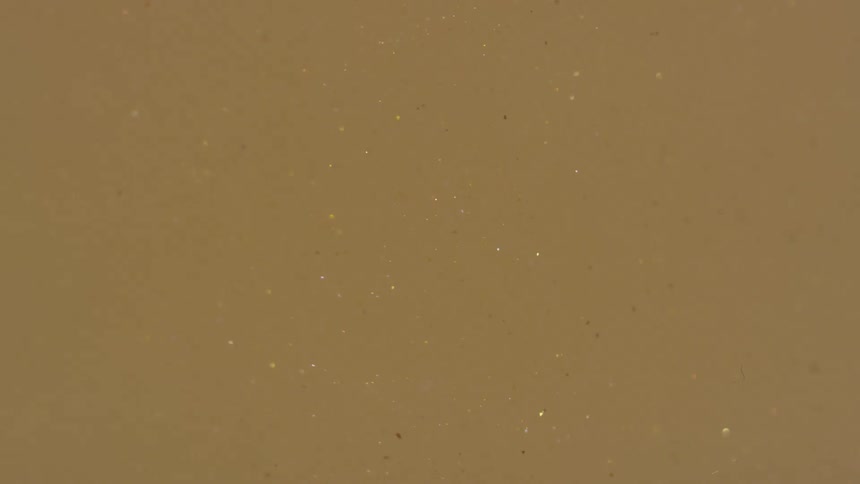 Small bubble rise in clear liquid sitting against tan background