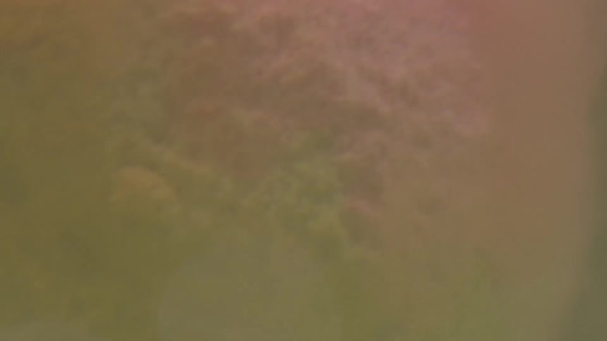 Bubbles rise rapidly in liquid of various pastel shades visible behind filmy surface