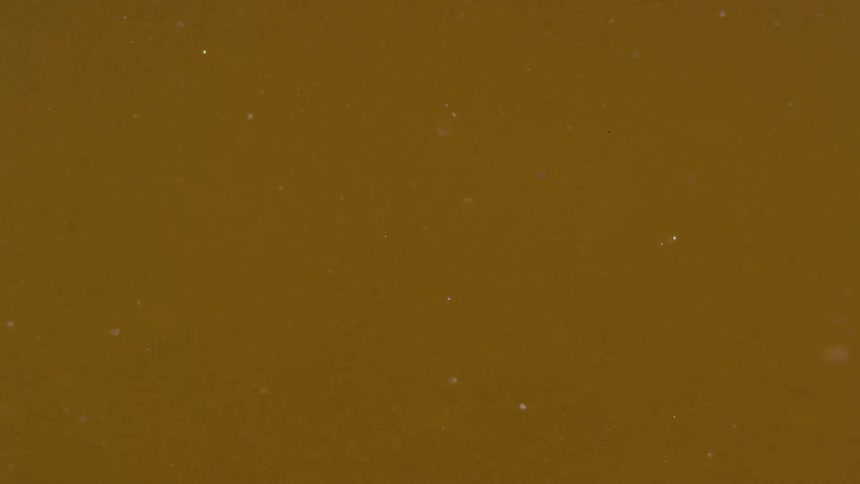 Particles floating through cloudy yellow liquid
