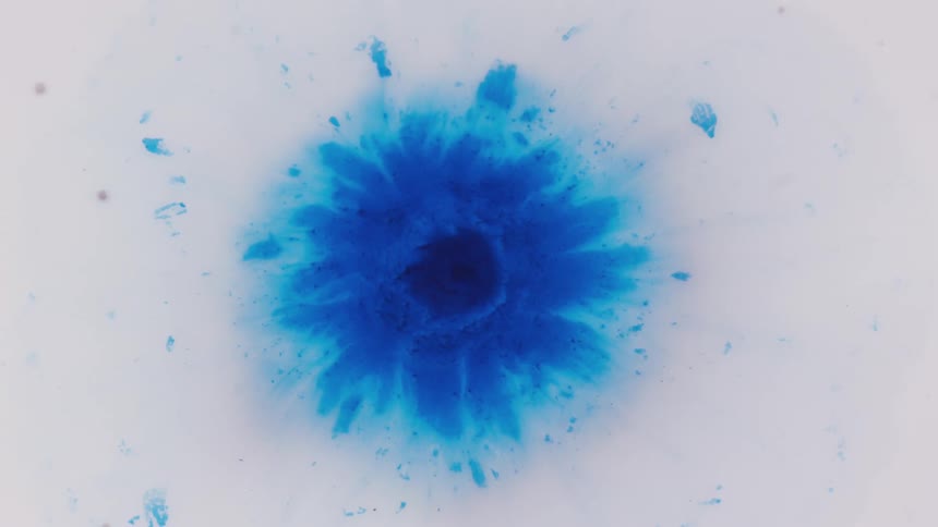 Abstract colorful blue paint ink on liquid diffusion in movement