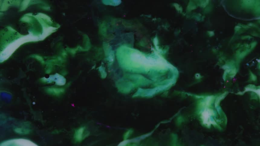 Psychedelic green and black liquid ink flowing