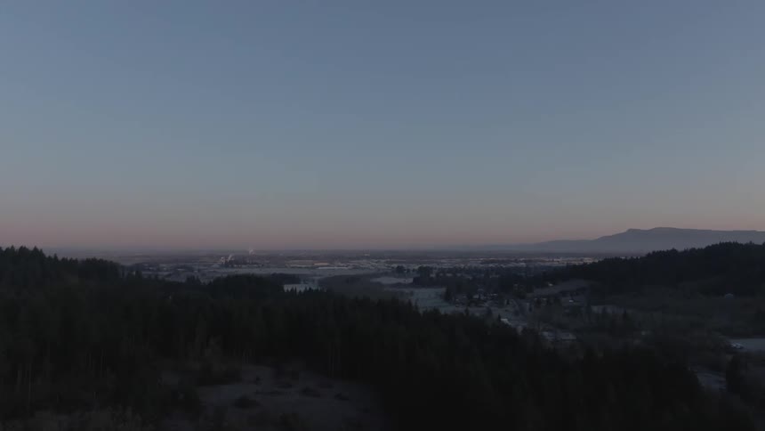 An aerial view of pine trees in a forest at dawn