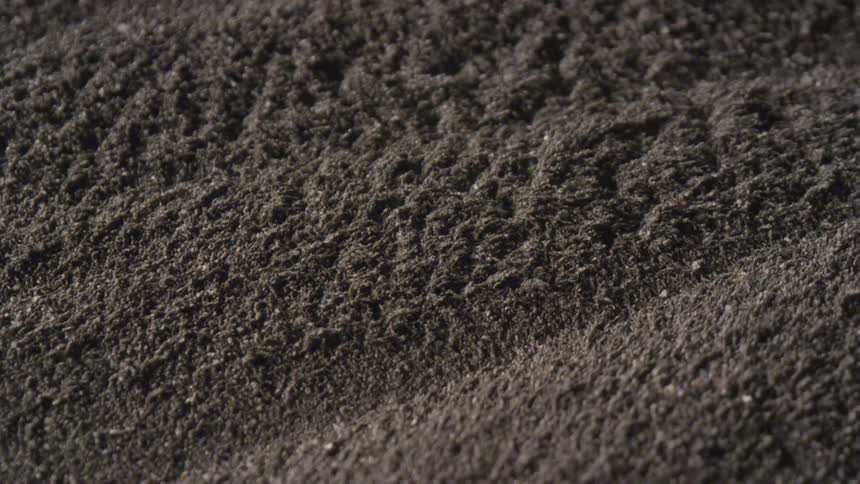 Iron filings moving under the influence of a magnetic field