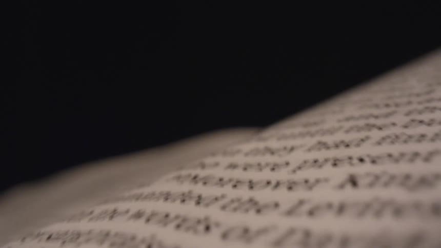 A book has many pages