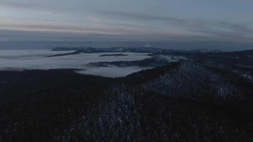 Aerial view of a forest on the shore and the water with mountains in the background