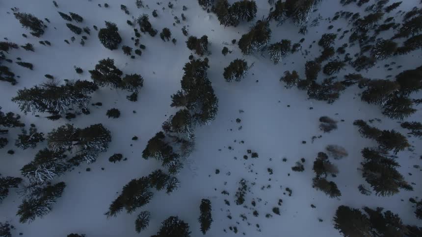 Aerial view of a large area of land covered with trees and snow at dusk