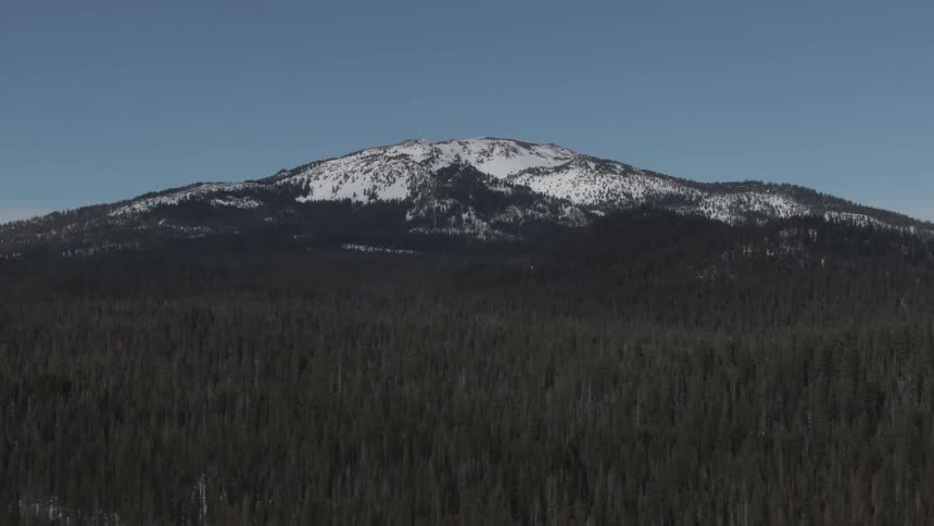 A forest with trees with a snow covered mountain and the sky in the background