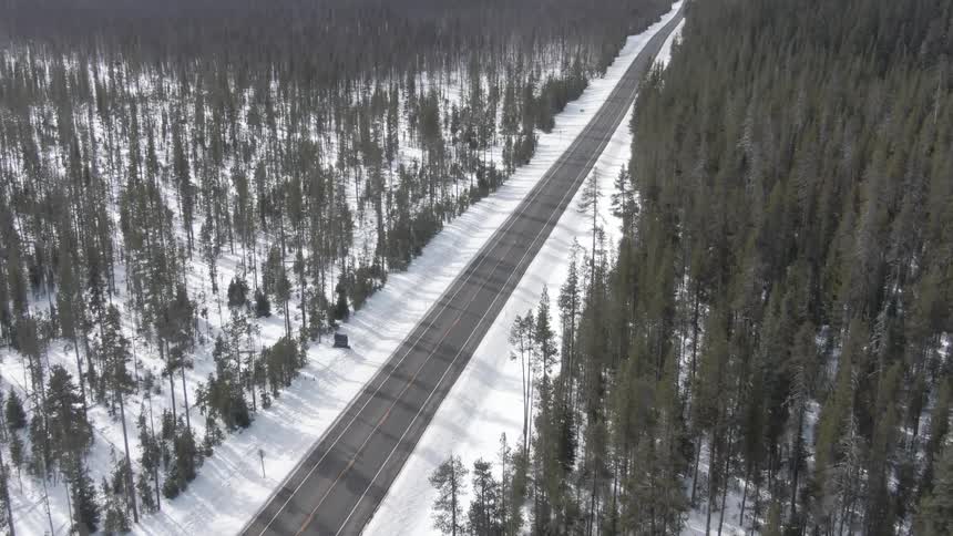 A road surrounded by snow and trees
