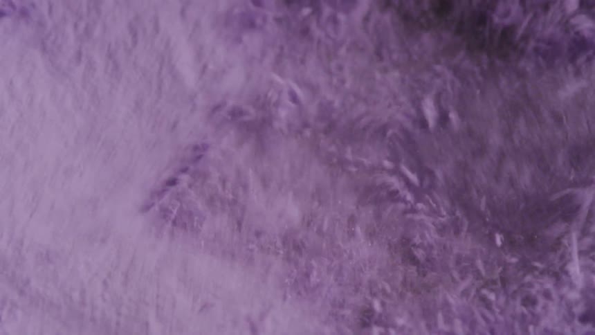 Purple particles and tendrils flow and spread under intense breeze