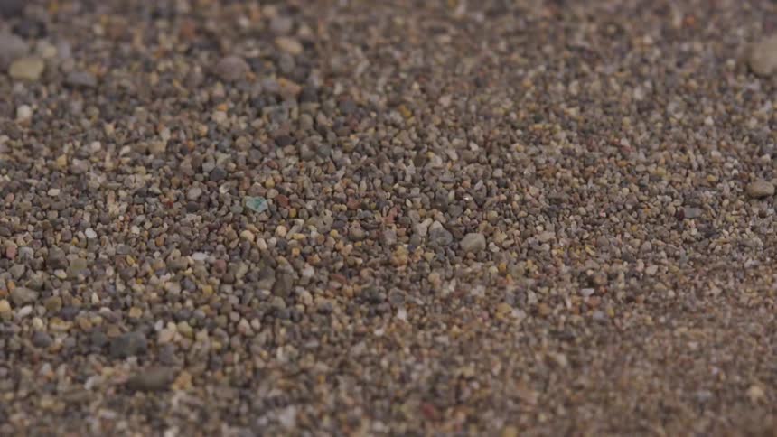 Hundreds of rocks and pebbles shake and scatter