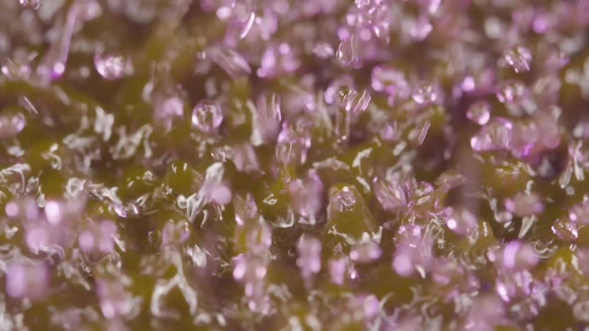 Tight shot of water boiling and bubbling