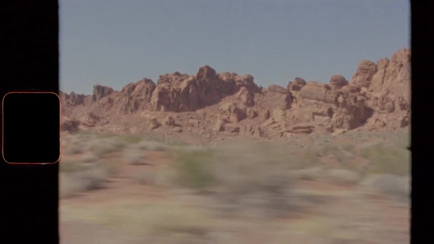 Small bushes of varying heights dot the ground near a canyon