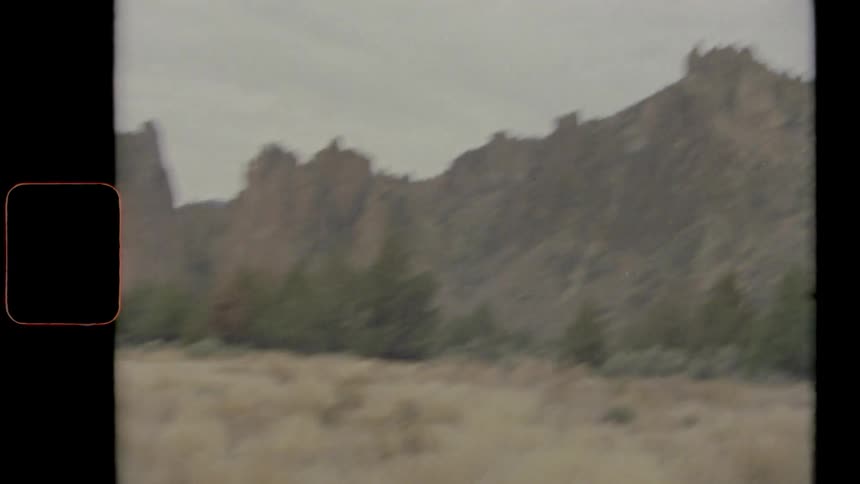 Scrub brush and evergreen trees grow before a barren mountainside