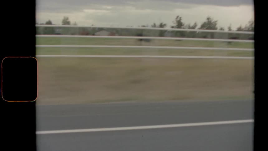 Travelling past a pasture with cows grazing