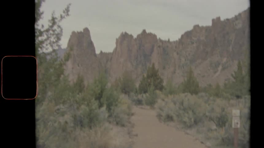 A dirt trail is surrounded by trees and brush