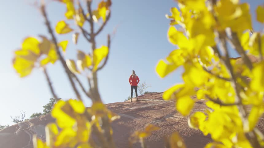 A woman standing on a hill with plants in the foreground and trees and the sky in the background