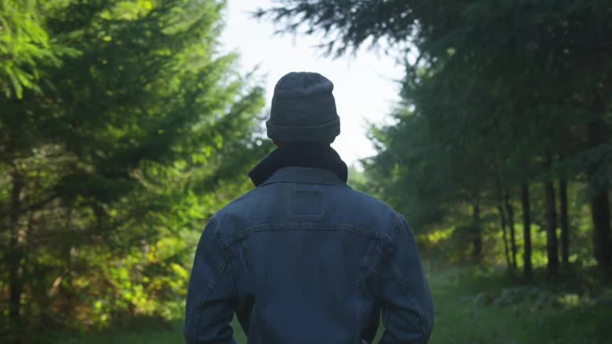 A man is hiking through the forest