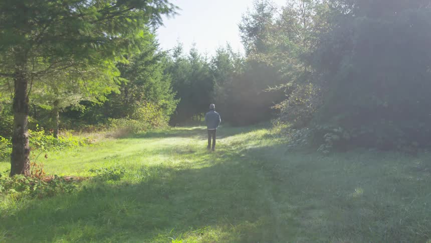 A man walks along a vehicle track in a woodland during the day